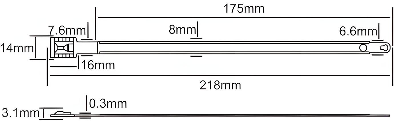 Metal Strip Seal C01 Metal Strip Seal C01