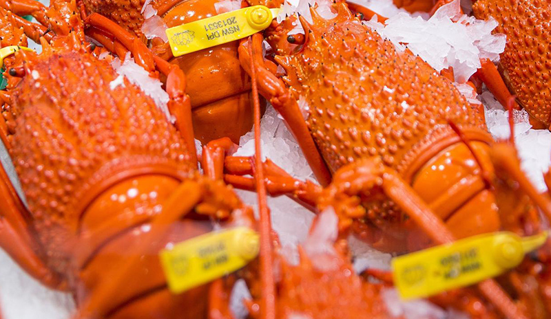 Fresh Food, Seafood & Marine Supply Applications.jpg